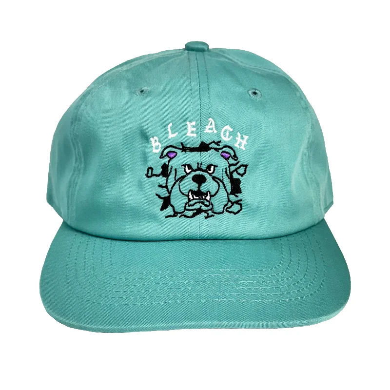 Hat Printed-Bleach USA Big Dawg 6 Panel Hat - Dark Mint